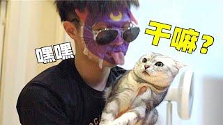 Does licking a cat with your tongue really increase feelings? I tried it bravely! Licking the fierc