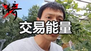 为什么交易往往越努力越不幸？如何提升交易能量？| 无漪wuyi