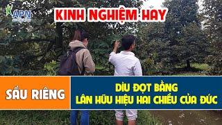 APN - HƯỚNG DẪN CHI TIẾT CÁCH "DÌU ĐỌT" SẦU RIÊNG BẰNG ARIGOLD 620 CỦA ĐỨC