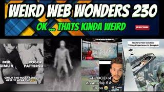 weird web wonders 230