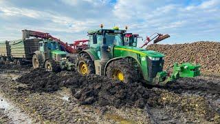 SÁRDAGASZTÁS  | John Deere 8245R + Rába + 6930P | Stuck in MUD | Rübentransport