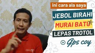 cara menaikan birahi murai batu biar gacor ini cara saya