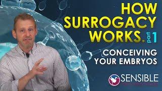 STEP 1. IVF and Conceiving Embryos for Surrogacy: How Surrogacy Works