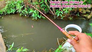 Mancing Ikan Wader disini Malah Dapat Ikan mahal dan Nilem Besar 