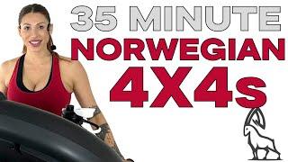 Norwegian 4x4s | Treadmill Workout