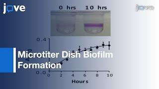 Microtiter Dish Biofilm Formation Assay l Protocol Preview