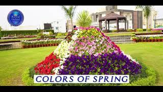 Colors of Spring at Royal Orchard Multan