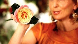 How to Make Roses Open Faster | Wedding Flowers