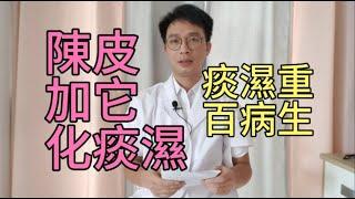 痰濕重百病生，陳皮加它一起煮一煮，功效翻倍還好喝，排出身體痰濕，化全身之痰，脾胃也越來越好了