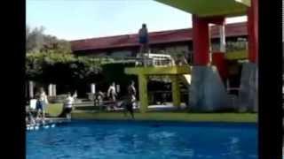 Adulto Se Arrepiente En El Trampolin