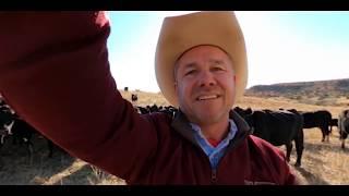 #cows #ranch #cowboy Pappy takes his 2 year old grandson to help feed the cows on the ranch.