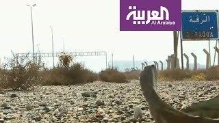 كاميرا العربية تدخل مدينة الرقة المدمرة
