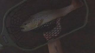BFC- Big Fishing Creek PA, Summer Fly-Fishing