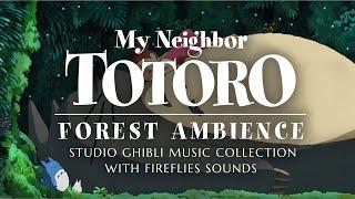 "My Neighbor Totoro" Forest Ambience (Studio Ghibli Music Collection & Fireflies Sounds) | 1 Hour