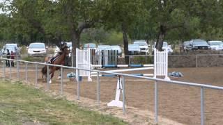 2012-2013 IEL Show #4 - Rachel Snyder JV Jumpers Table II Sec. 2b