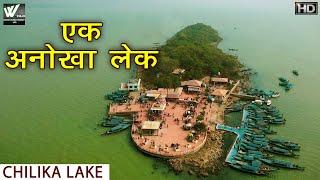 एक अनोखा लेक | Chilika Lake Odisha | मानव व प्रकृति का संघर्ष | Asia's Largest Brackish Water Lagoon