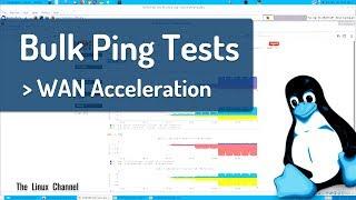 309 Bulk Ping Tests - WAN Acceleration