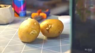 Картошка от Slivki Show
