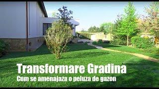 TRANSFORMARE GRADINA - Cum se amenajaza o peluza perfecta de gazon