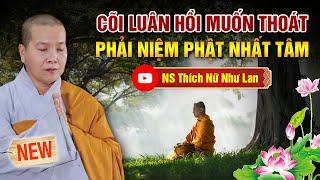 CÕI LUÂN HỒI MUỐN THOÁT - NIỆM PHẬT PHẢI NHẤT TÂM | Thuyết pháp NS Thích Nữ Như Lan - Mới nhất 2024