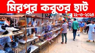 মিরপুর কবুতর হাট ২২-৩-২০২৪ || kobutor hat 2024 || pigeon market in bangladesh || Mirpur kobutor hat