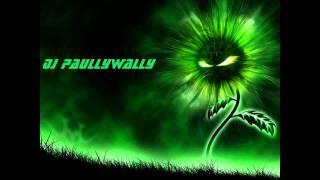 DJPaullywally - Fly without wings (Dubstep) [1080p!]