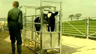 IAE Livestock Equipment | Mole Valley Farmers