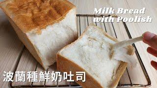 免揉波蘭種(液種)吐司 [NO KNEAD] Milk Loaf Bread with Poolish method