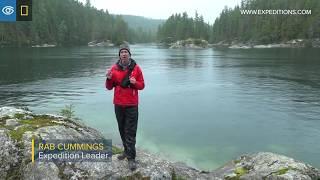 Secrets of the Temperate Rainforest | Pacific Northwest | Lindblad Expeditions-National Geographic