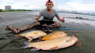 EDAANN!!! Mancing Dibikin Kuwalahan Dimakan Dua Joran Sekaligus Babon Semua