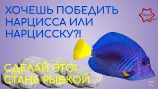 Как победить нарцисса или нарцисску? Сделай так! Только сначала изучи тему!