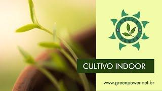 3 Motivos para Investir no Cultivo Indoor Green Power Grow