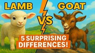 Lamb vs Goat | 5 Surprising Differences You Didn’t Know | Animal Comparison