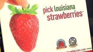 Grants Available to Help Louisiana Specialty Crops