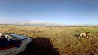 360 Video South Africa Wildlife Film trip  - Photos of Africa VR Safari