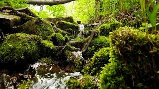КРАСИВАЯ ПРИРОДА  ВОЛШЕБНОЕ МЕСТО КУК КАРАУК 4K |   BEAUTIFUL NATURE  MAGIC PLACE KUK KARAUK 4K