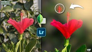 How to Get BACKGROUND BLUR on ROUGH EDGES with Snapseed & Lightroom Apps | Android | iOS