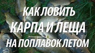 РЫБА КАРП И ЛЕЩ НА МАТЧЕВУЮ УДОЧКУ. УСПЕШНАЯ ЛЕТНЯЯ РЫБАЛКА НА КАРПА И ЛЕЩА В ИЮЛЕ