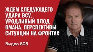 Ждем следующего удара ВСУ / Уродливый плод Омана / Перспективы ситуации на фронтах / №805 -Юрий Швец