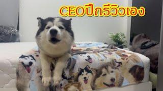 มื้อนี้เจ้าของผ้าห่มCEOปึกมารีวิวด้วยเองเลยนะ