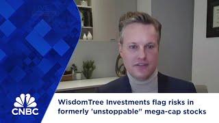 WisdomTree Investments flag risks in formerly 'unstoppable" mega-cap stocks