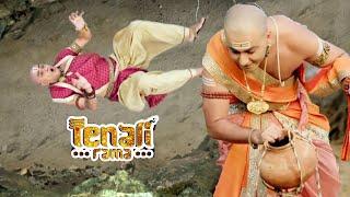 तथाचार्य गिरे घोड़े से | Tenali Rama -तेनाली रामा | Best Comedy Serial