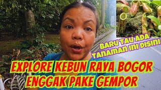 EXPLORE KEBUN RAYA BOGOR II JALAN2 BERDUA AJA DENGAN ANAK