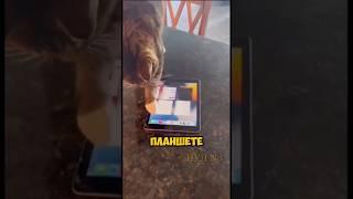 Кот сам запускает игру #shorts #animals #cat