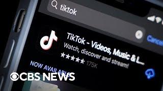 ByteDance probe finds employees gained access to some of TikTok's U.S. user data