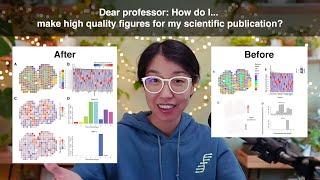 Dear professor: How do I make high quality figures for my scientific publication? #tutorial #phdlife