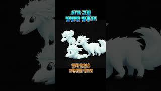 이 입양펫의 정체는?