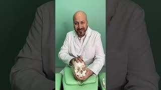 Какими методами остеопатия корректирует СДВГ у детей