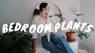 BEST HOUSEPLANTS FOR THE BEDROOM | easy-care, aesthetic houseplants + styling tips!