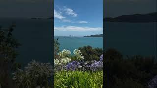 He Tohu Kairuri Lookout. Coromandel Peninsula. New Zealand North Island Bucket List Travel.